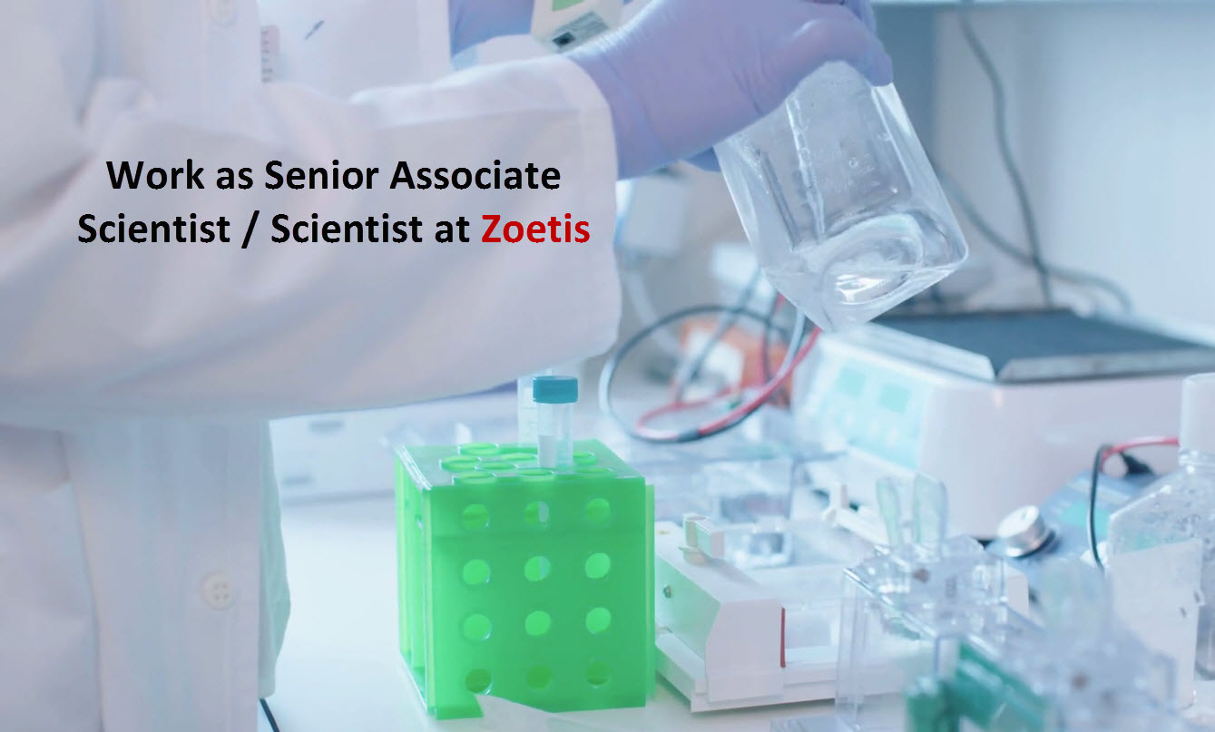 work-as-senior-associate-scientist-scientist-at-zoetis-pharmatutor