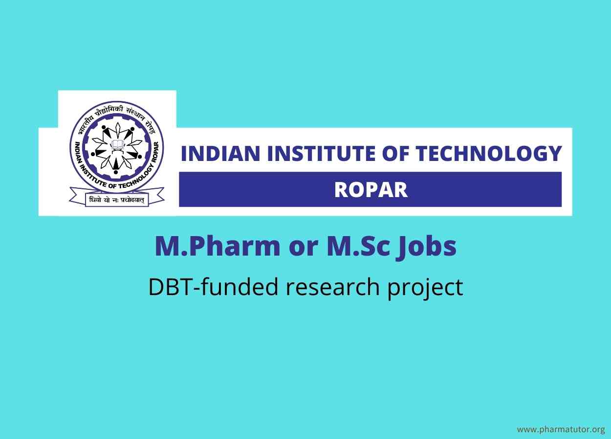 NEWS | Indian Institute of Technology Ropar