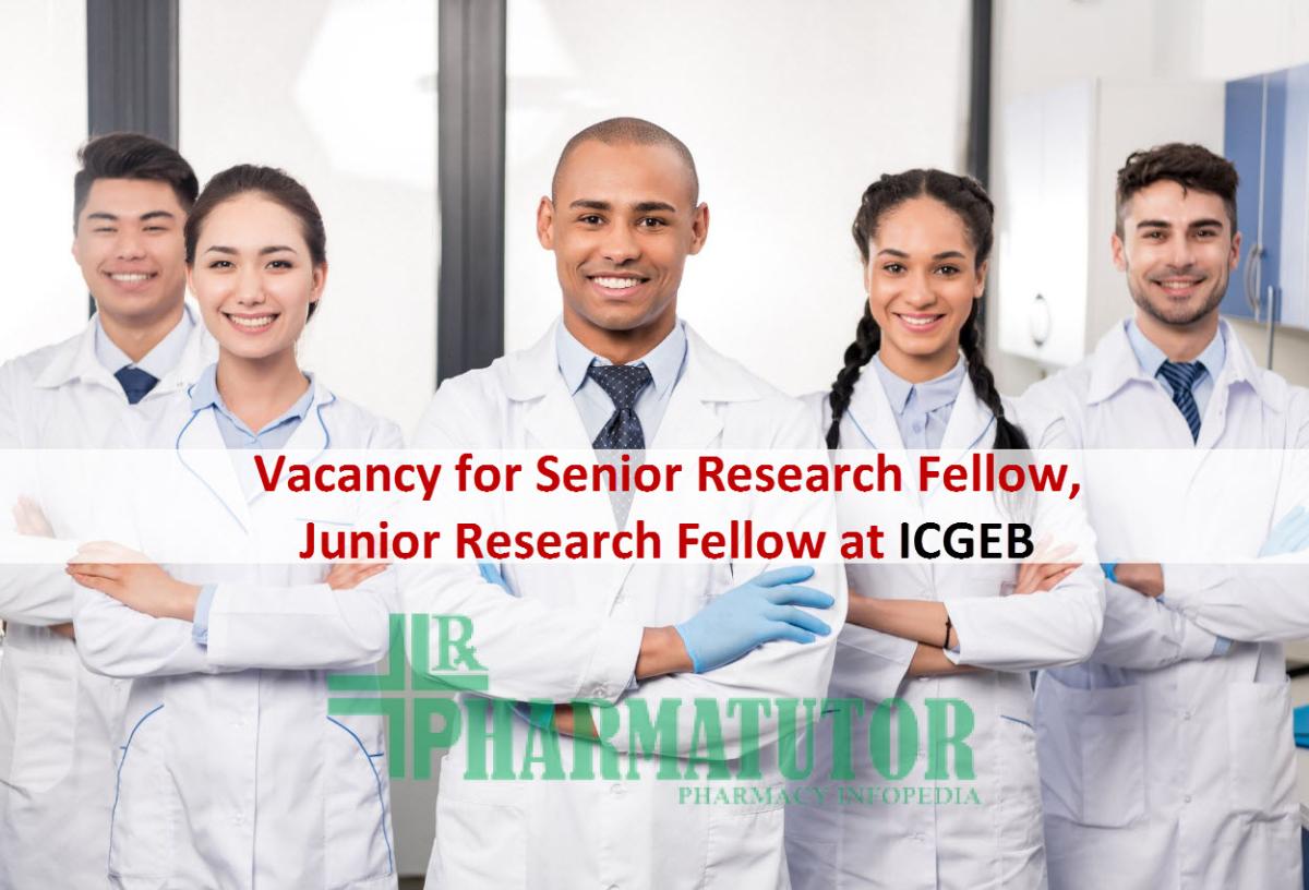 junior research fellow vacancy