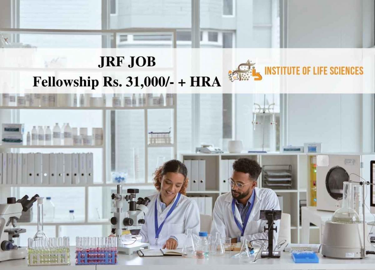 junior research fellow vacancy