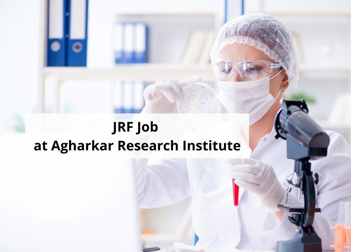 junior research fellow vacancy