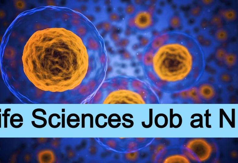 Vacancy for Junior Research Fellow at NII