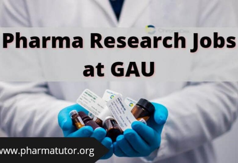 Pharmacist job in GAU