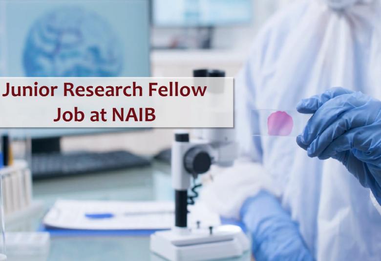 Vacancy for Junior Research Fellow at NAIB 