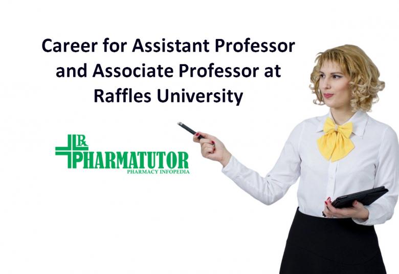 Assistant Professor and Associate Professor at Raffles University