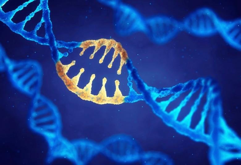 China NMPA approves CRISPR Cas 9 Gene editing