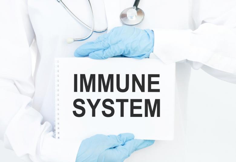 Model analyzes how viruses escape the immune system