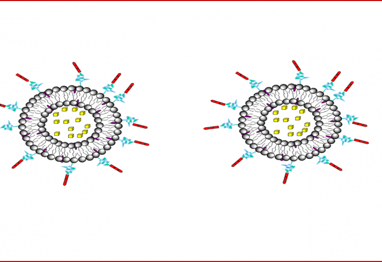NOVEL DRUG DELIVERY SYSTEM