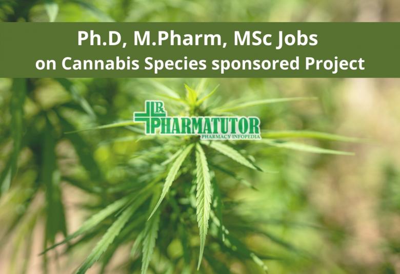 Ph.D, M.Pharm, MSc Jobs at Centre for Transgenic Plant Development