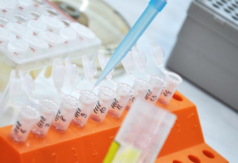 Essential Diagnostics List and urges countries to prioritize investments in testing