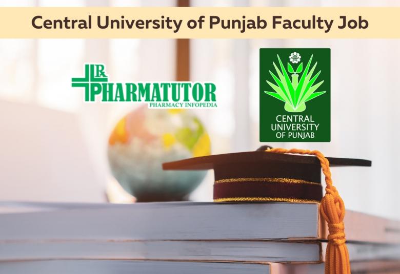 Central University of Punjab Job