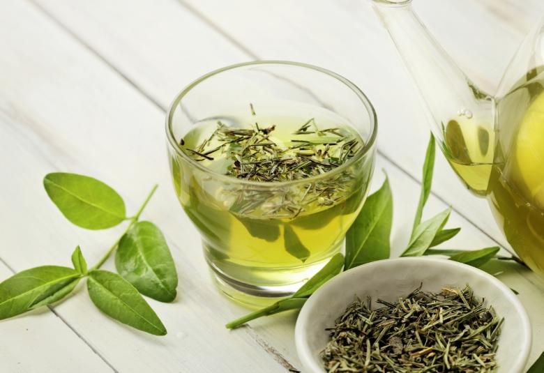 Green Tea Compound Aids Tumor-Suppressing, DNA-Repairing Protein