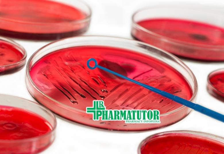 Vacancy for Research Associate at Vallabhbhai Patel Chest Institute
