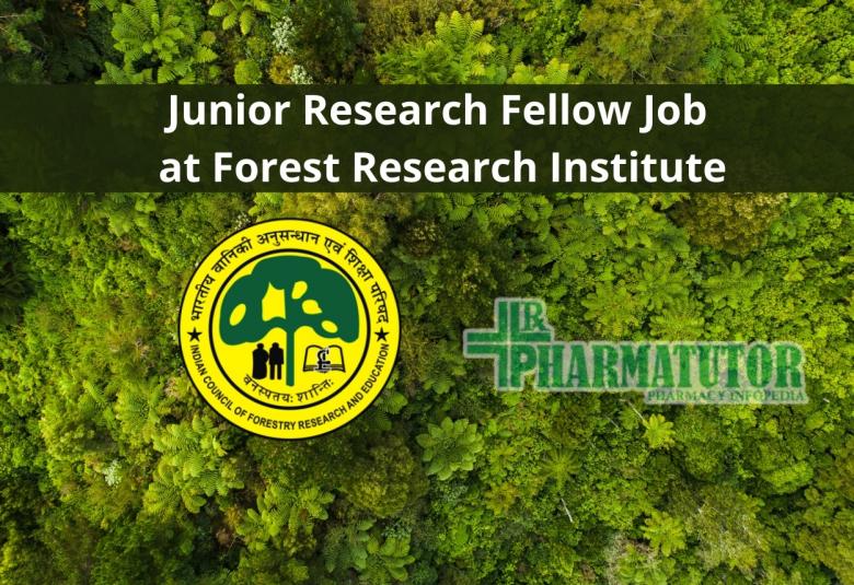 Junior Research Fellow Job at Forest Research Institute