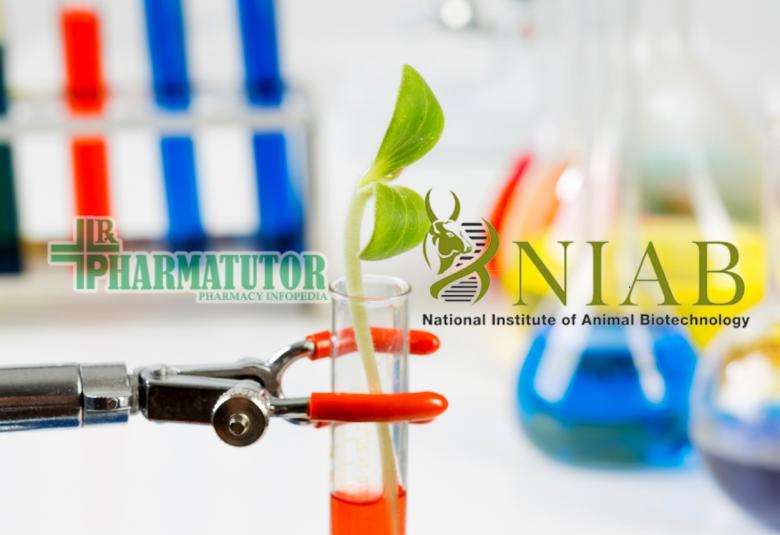 NIAB Project Associate Job