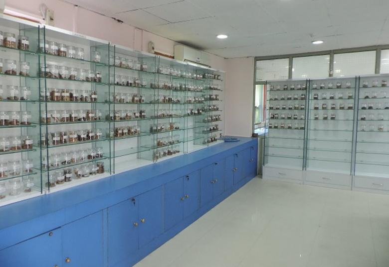Raw drug repository for medicinal herbs established in CSIR-NBRI 