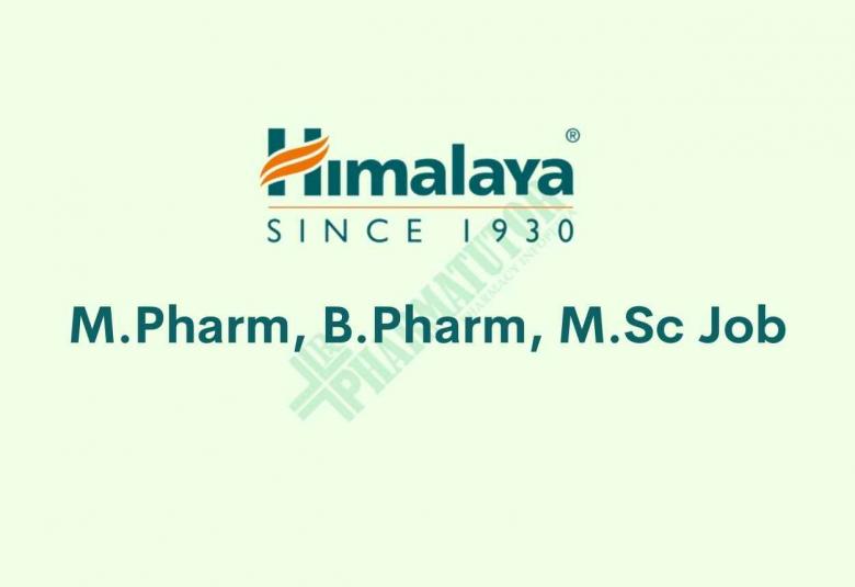 M.Pharm, B.Pharm, M.Sc Job in Himalaya Wellness