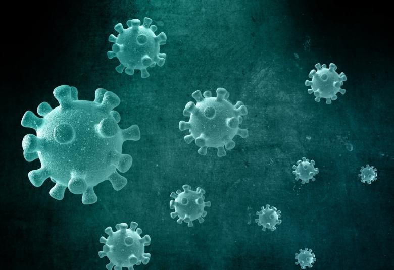Cold-virus saved lives from corona virus