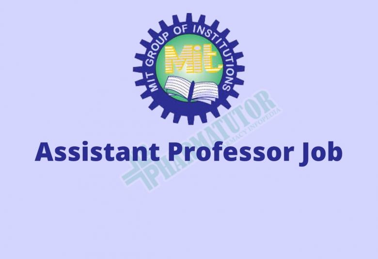 Job for Assistant Professor at Moradabad Educational Trust Group of Institutions