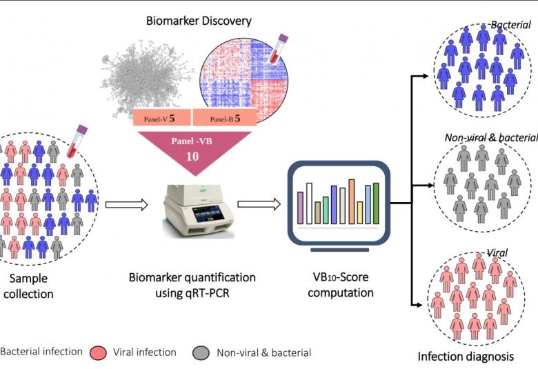 New biomarker to distinguish between bacterial and viral infections 