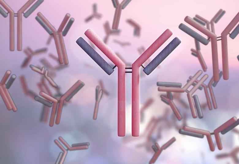 LegoChem Biosciences and Iksuda Therapeutics expand License Agreement for development of antibody-drug conjugates