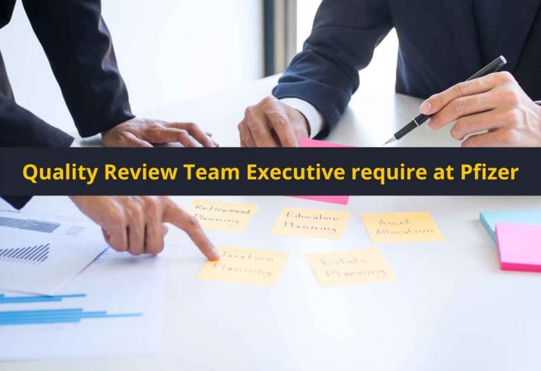 Quality Review Team Executive require at Pfizer