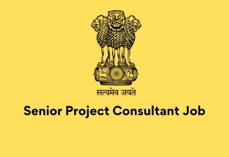 Vacancy for Senior Project Consultant at PCIMH