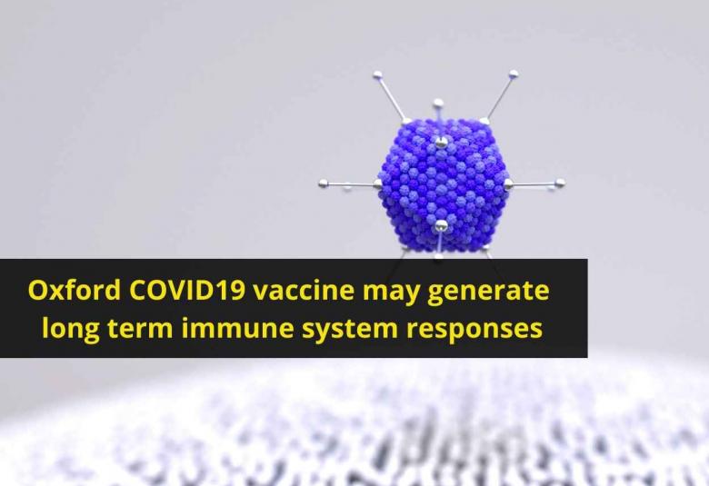 Oxford COVID19 vaccine may generate long term immune system responses