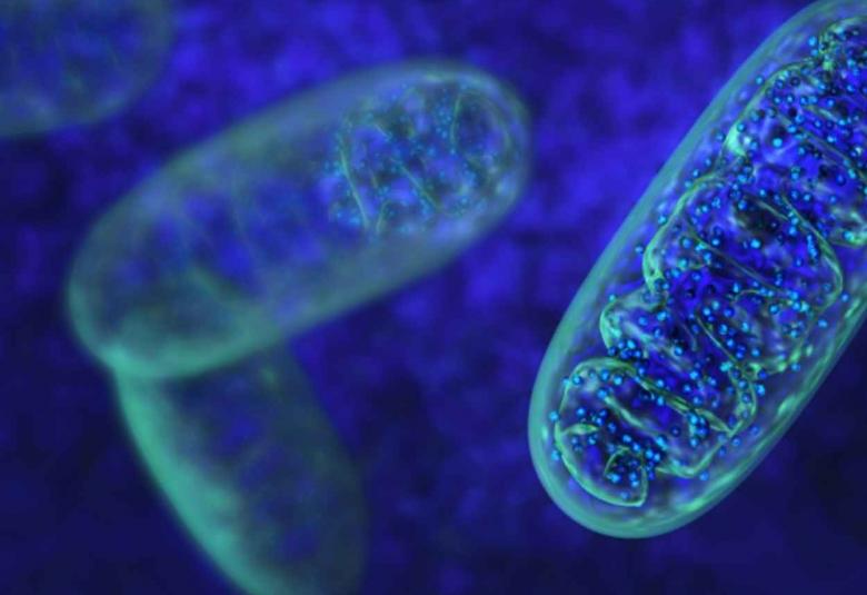 New study details enzyme that allows coronavirus to resist antiviral medications