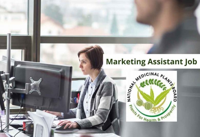 Career for Marketing Assistant at National Medicinal Plants Board - Ministry of AYUSH