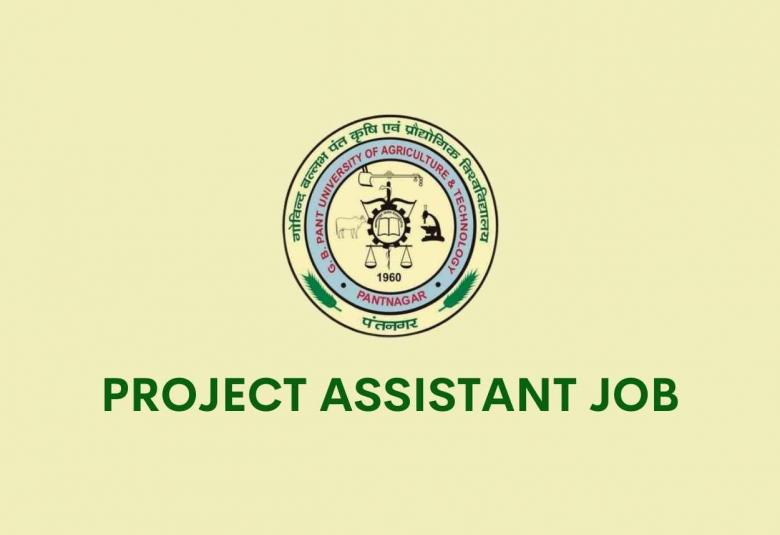 Project Assistant Job at G.B. Pant University