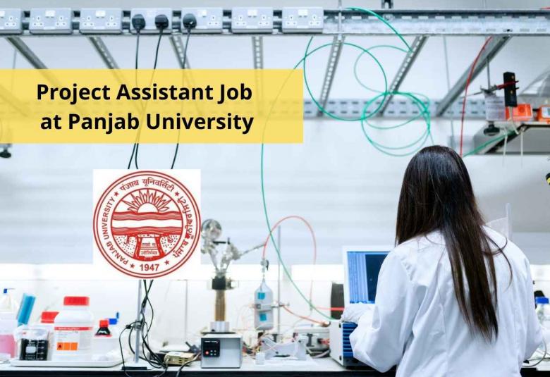 Project Assistant Job at Panjab University