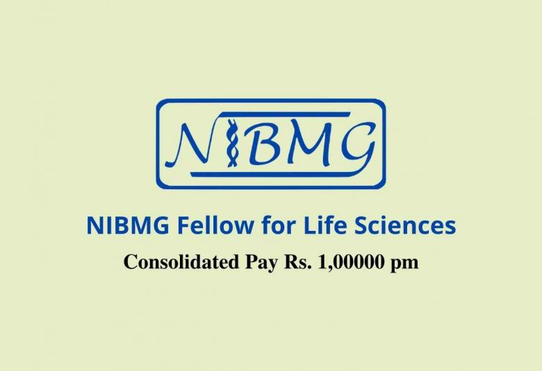 NIBMG Fellow for Life Sciences