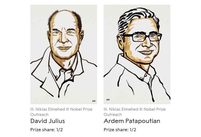 The Nobel prize in medicine 2021 for discoveries of temperature and touch receptors