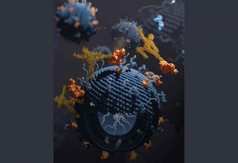 New Method to Increase Effectiveness of Nanomedicines