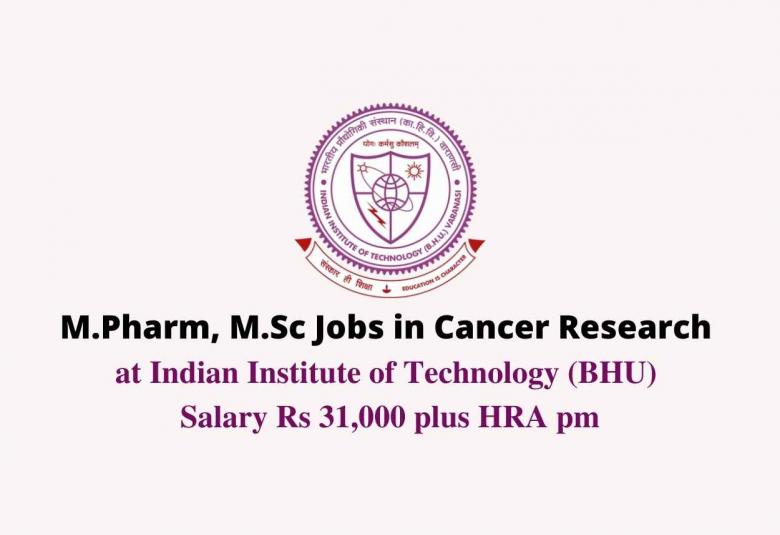 M.Pharm, M.Sc Jobs in Cancer Research at Indian Institute of Technology