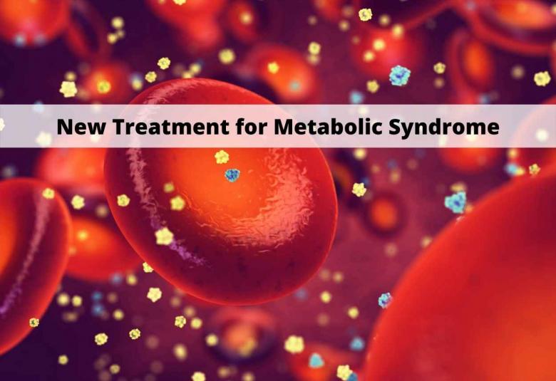 Researchers Identify a New Treatment for Metabolic Syndrome