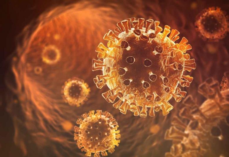 Neutralization of BA.1 and BA.2 by therapeutic monoclonal antibodies