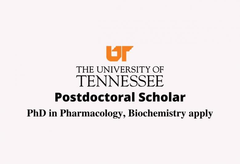 Postdoctoral Scholar at University of Tennessee