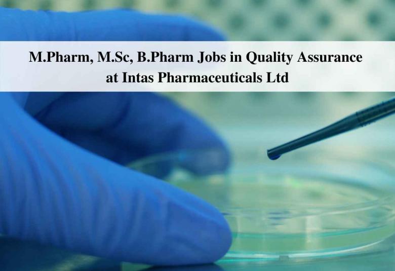 Intas Job