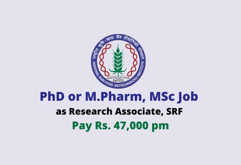 PhD or M.Pharm, MSc Job as Research Associate, SRF at NABI