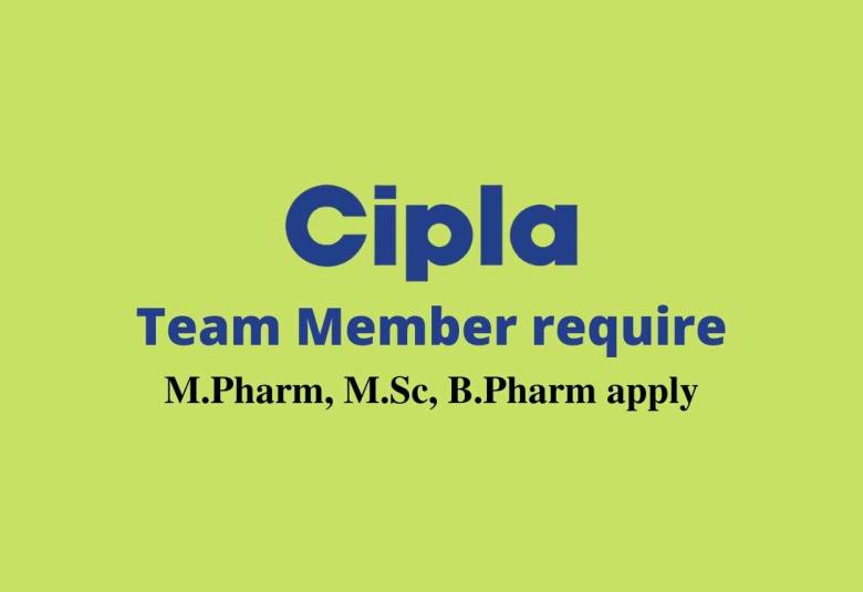 Work as Team Member at Cipla