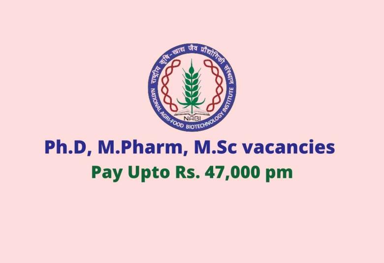 Ph.D, M.Pharm, M.Sc vacancies in NABI