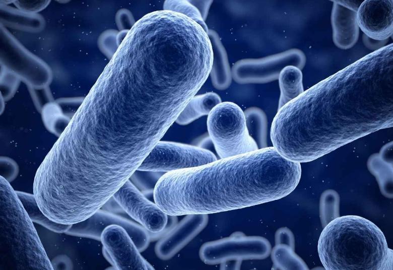 Toxin discovered that kills bacteria in unprecedented ways