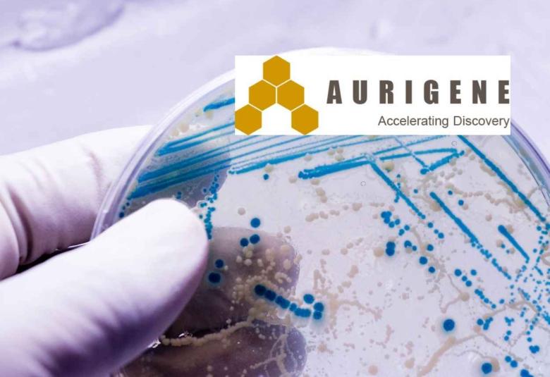 Hiring Scientist in Cell & Molecular Biology at Aurigene