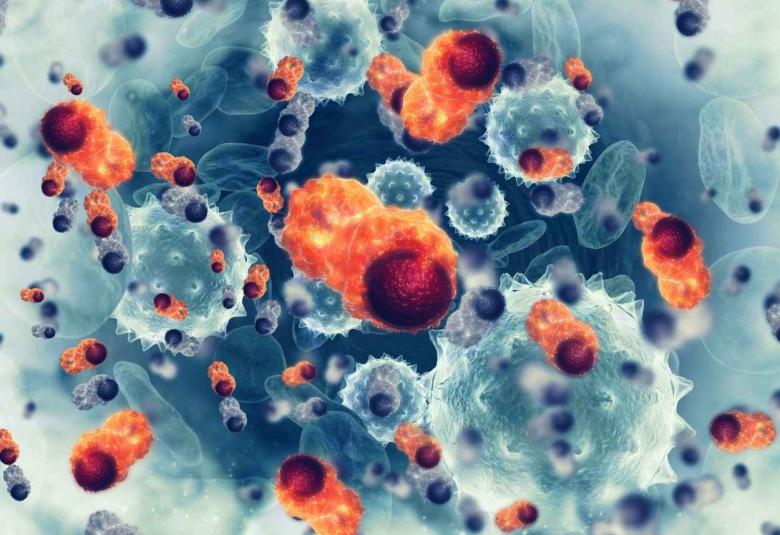 Researchers find protein complex that regulates migration of neurons and neuroblastoma cancer cells