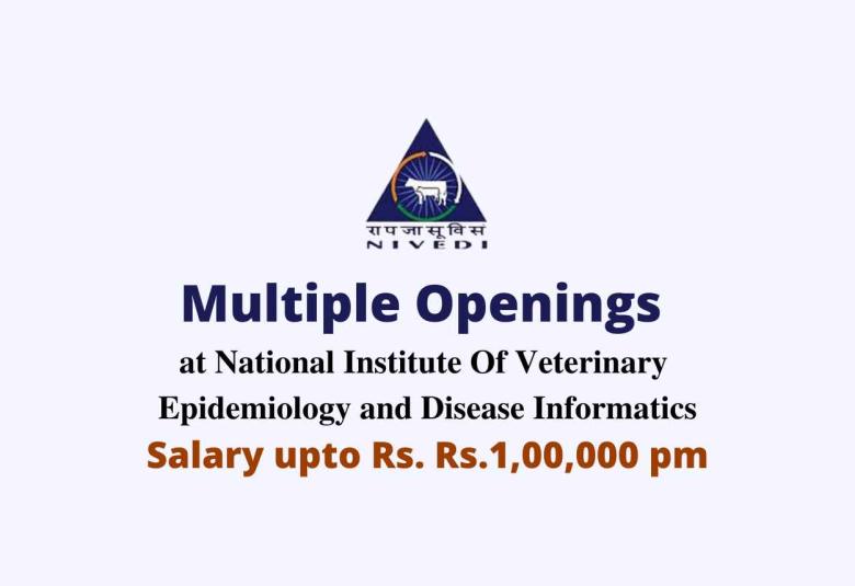 Multiple Openings at NIVEDI