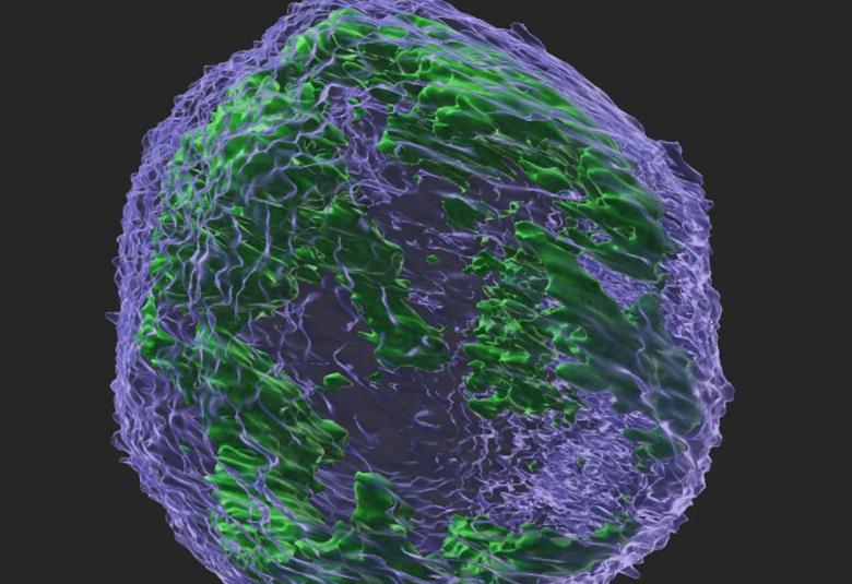 Enzyme that protects against viruses could Fuel Cancer Evolution