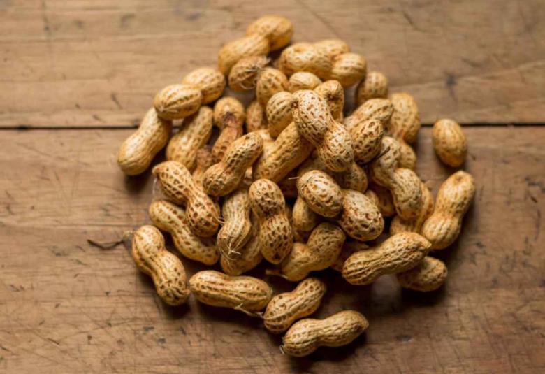 Peanuts and herbs and spices may positively impact gut microbiome
