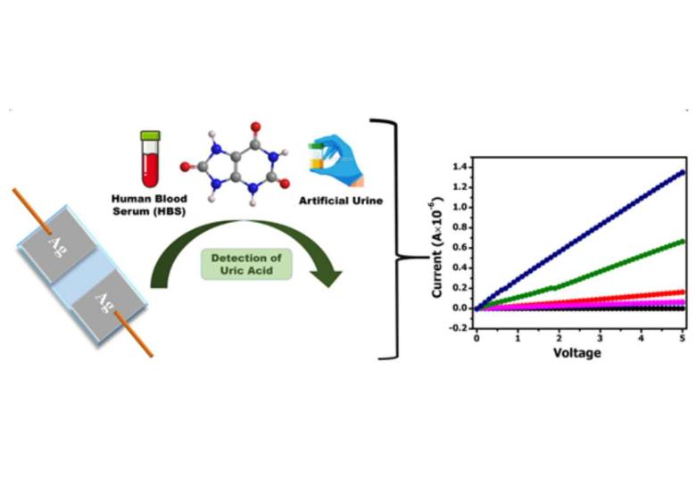 A newly fabricated bio-electronic uric acid detecting device can be used for wearable sensors and point-of-care diagnostics